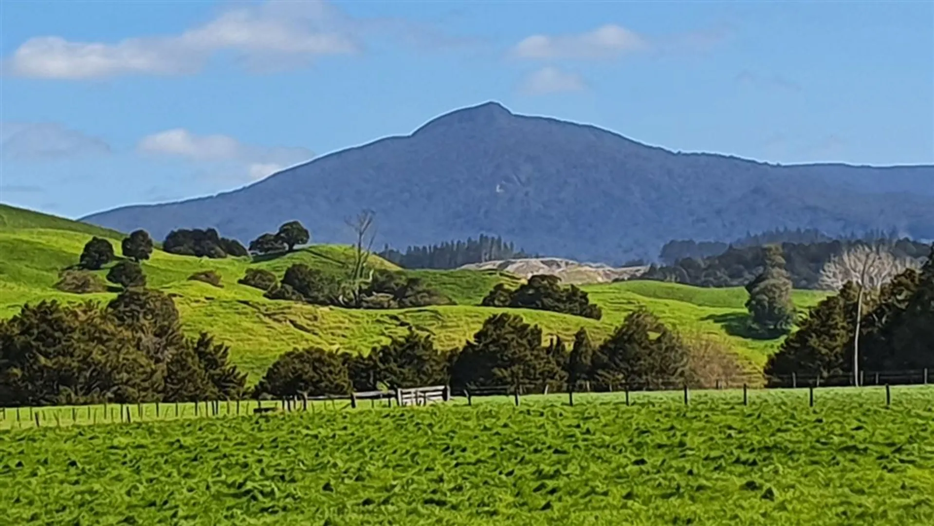 An image depicting the trail Mount Tutamoe Track and its surrounding area.