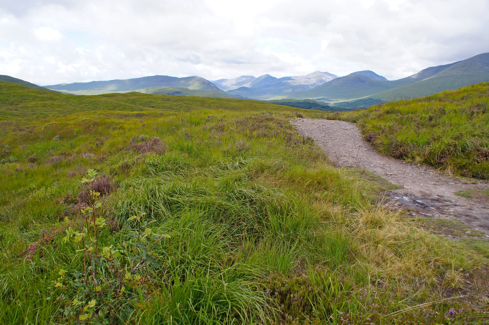 An image depicting the trail Kelvin Walkway and its surrounding area.