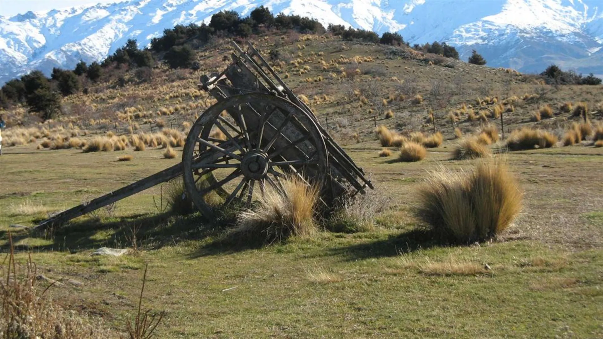 An image depicting the trail Kānuka Track and its surrounding area.