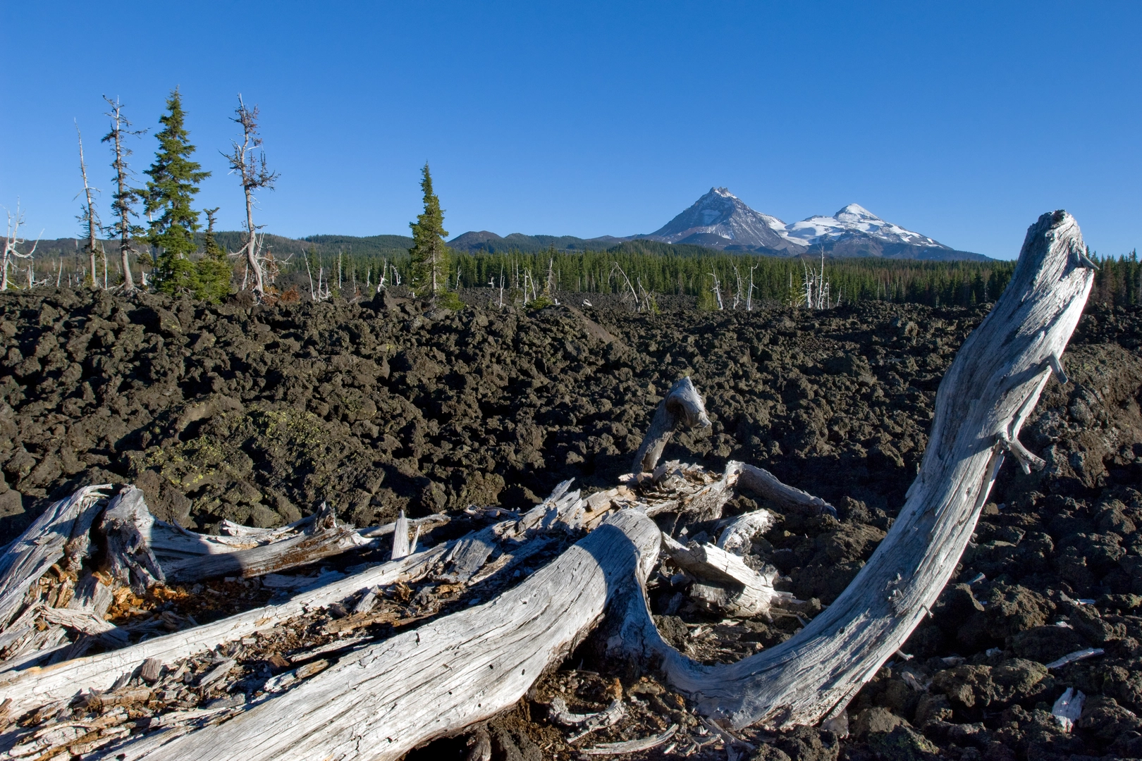 An image depicting the trail Three Sisters Trail and its surrounding area.