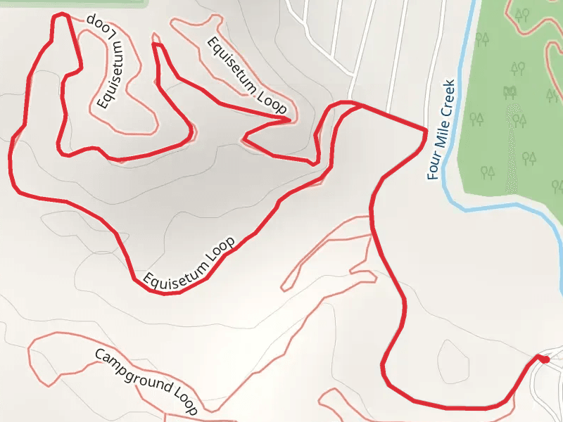 Campground Loop