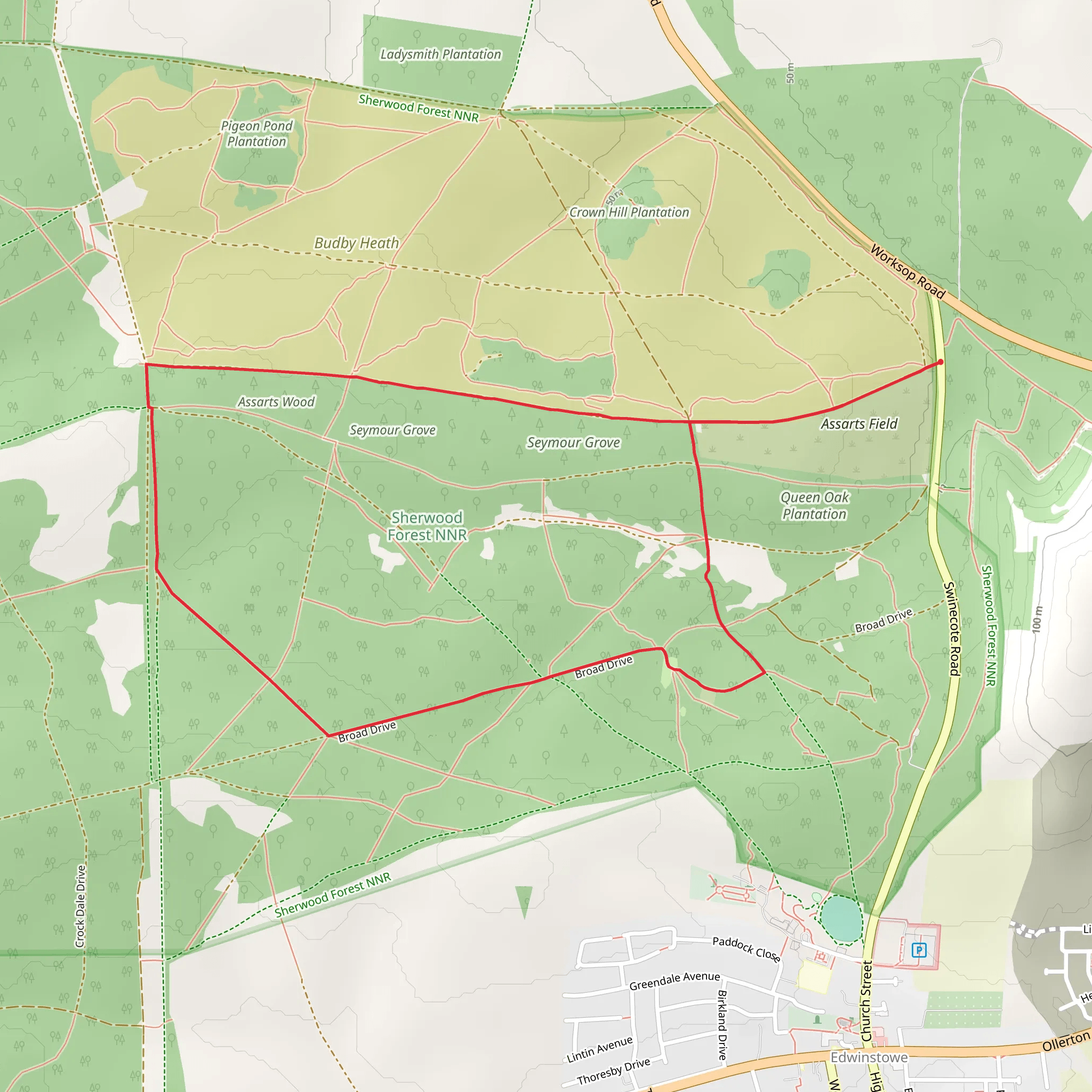 Sherwood Forest NNR Circular | Nottinghamshire | England