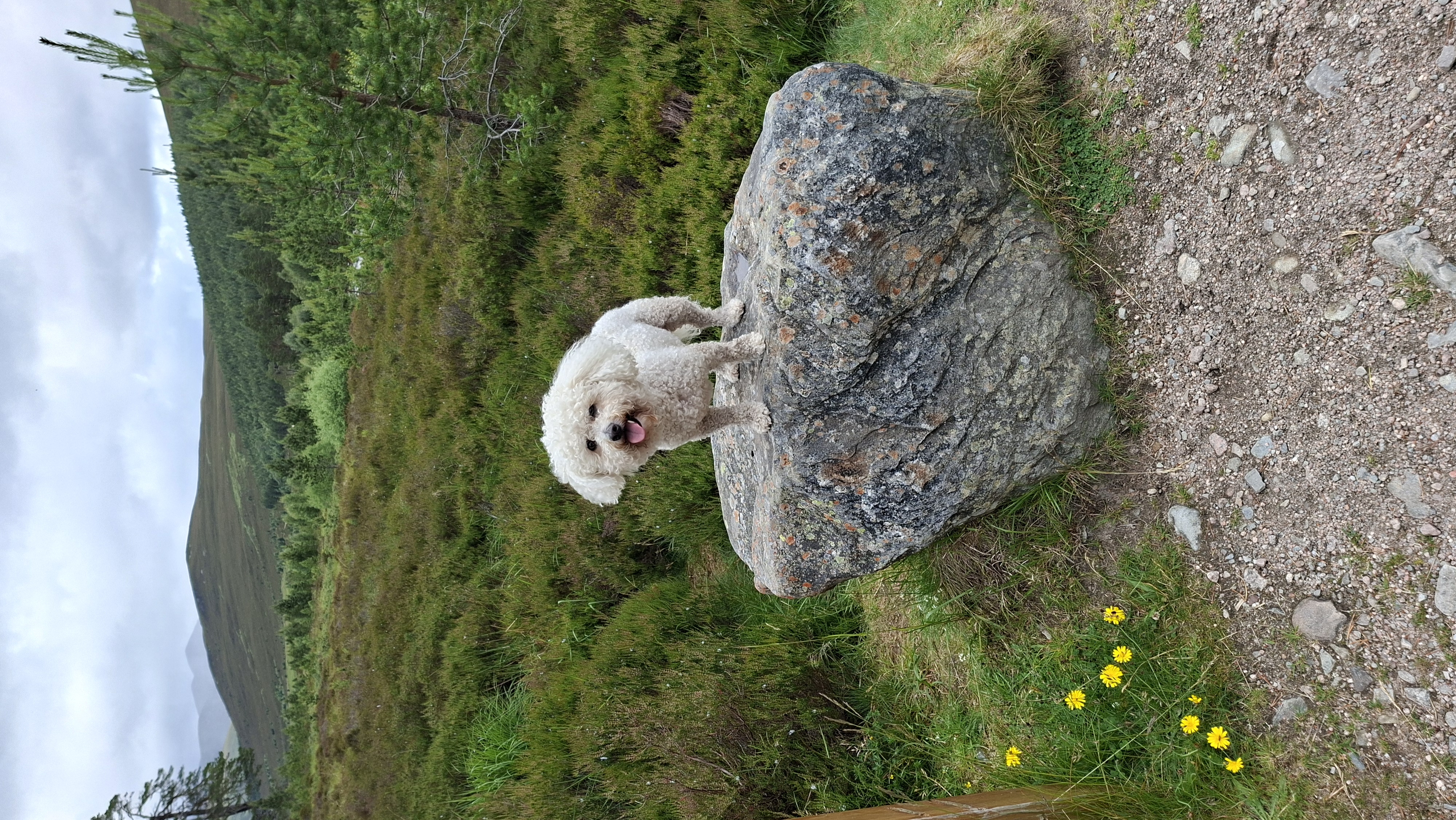 A map preview of the recording Hike on Beinn Bhreac & Beinn a Chaorainn .