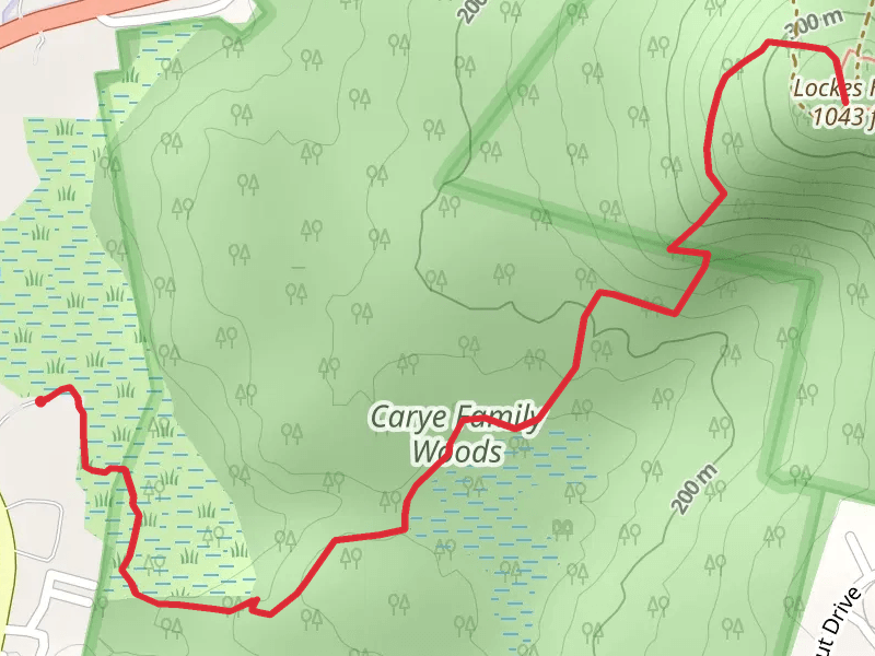 Lockes Hill Trail via Intervale Road