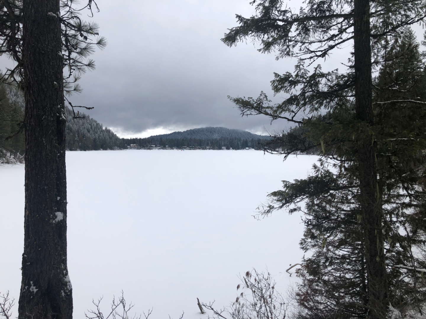 An image depicting the trail Bead Lake Trail and its surrounding area.