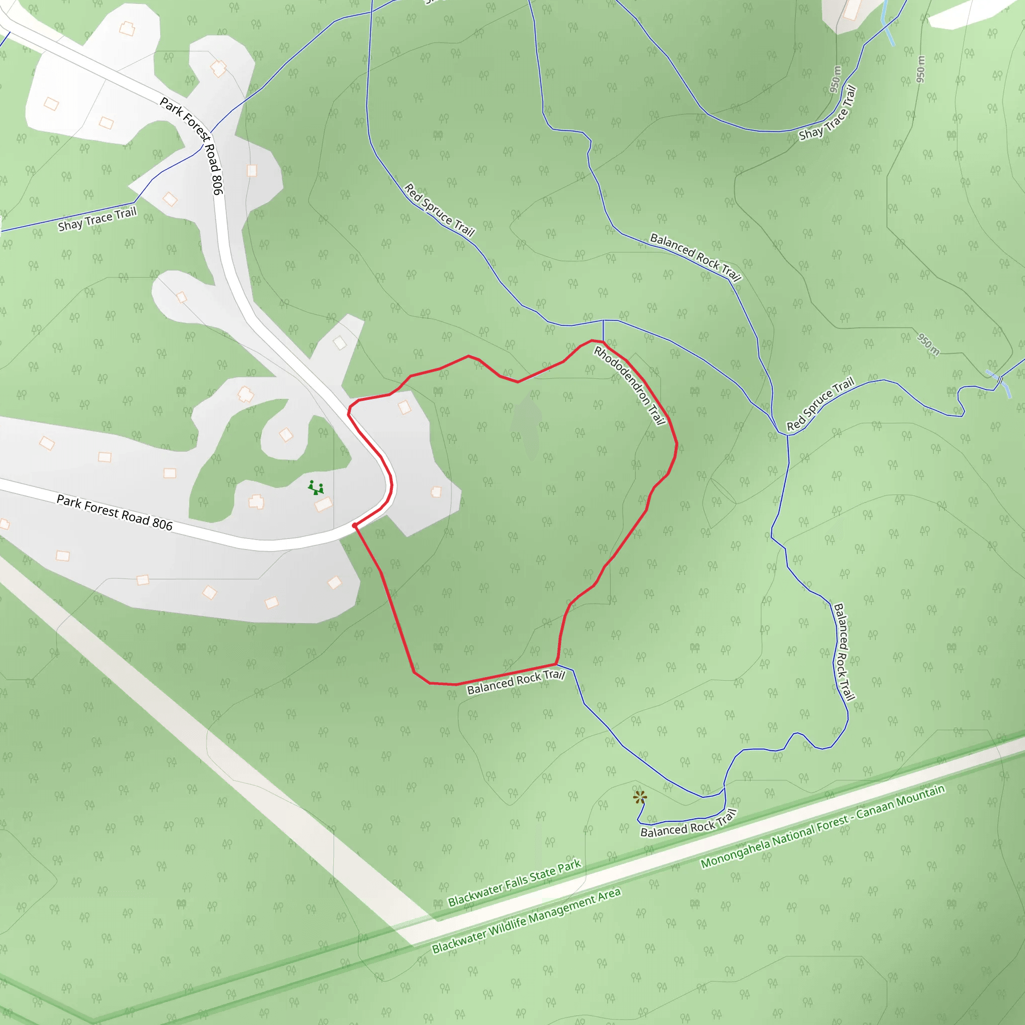 Rhododendron Loop Trail mobile static map