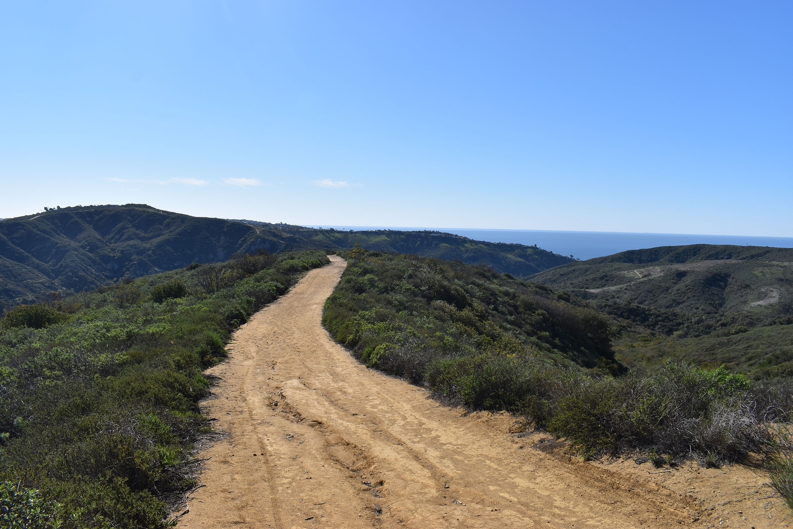 An image depicting the trail Rattlesnake and BFI Loop Trail and its surrounding area.