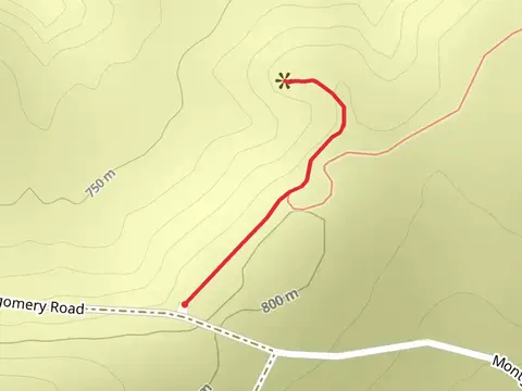 Montgomery Road