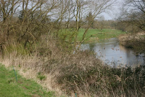 Stevington Loop
