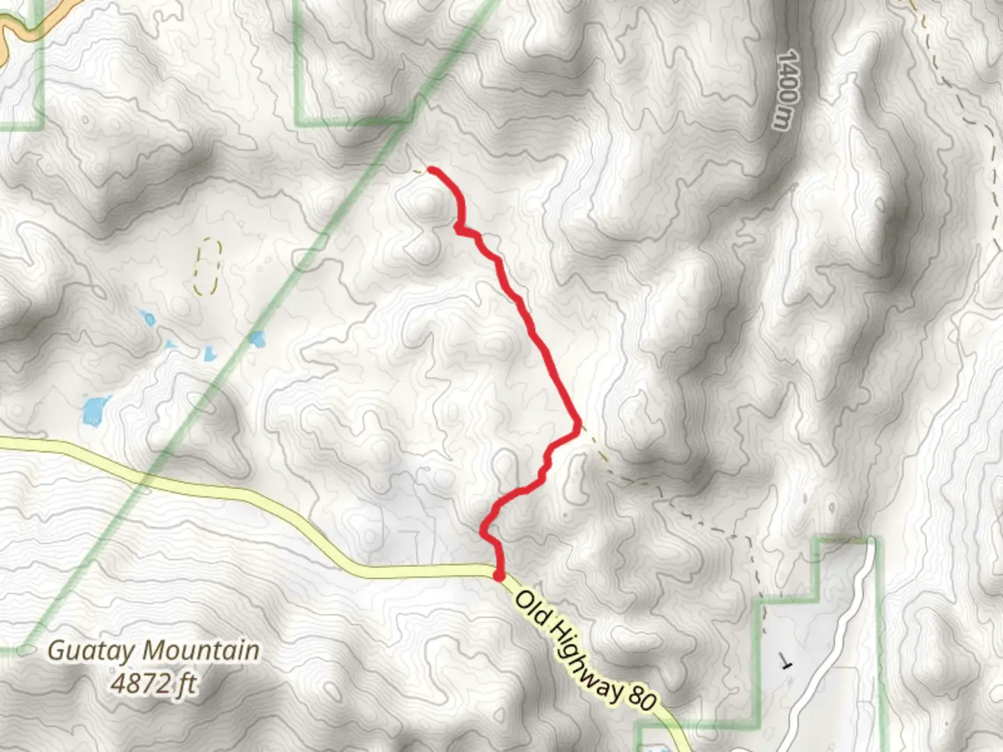 An image depicting the trail Wild Pigeon Flat Walk and its surrounding area.