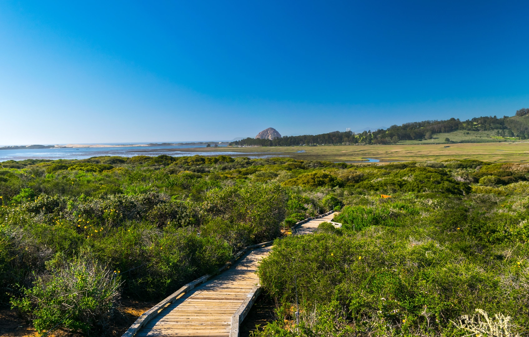 An image depicting the trail Live Oak Trail and Quarry Trail Loop and its surrounding area.