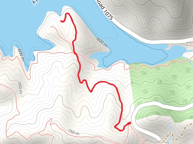 Applegate River via Calsh Trail