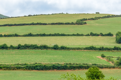 Moneygall Rock of Loyer Loop