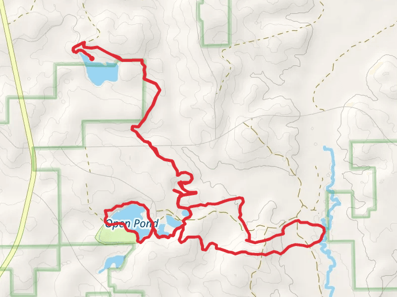 Conecuh South and Open Pond Loop Trail