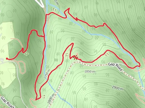 Raccoon Loop Trail