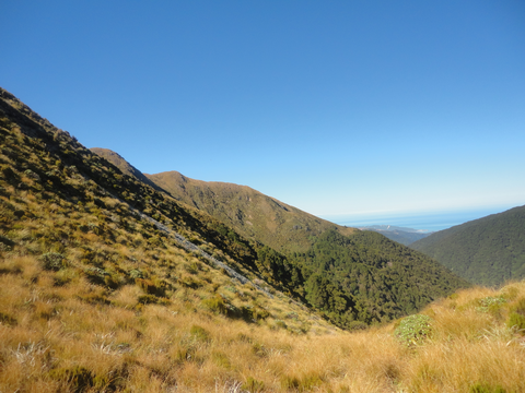Croesus Track
