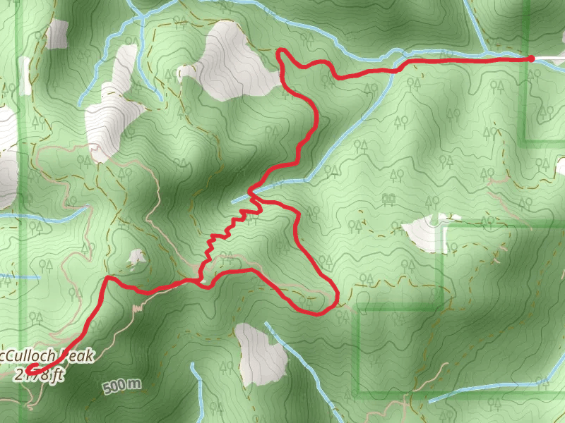 Soap Creek and McCulloch Peak Walk