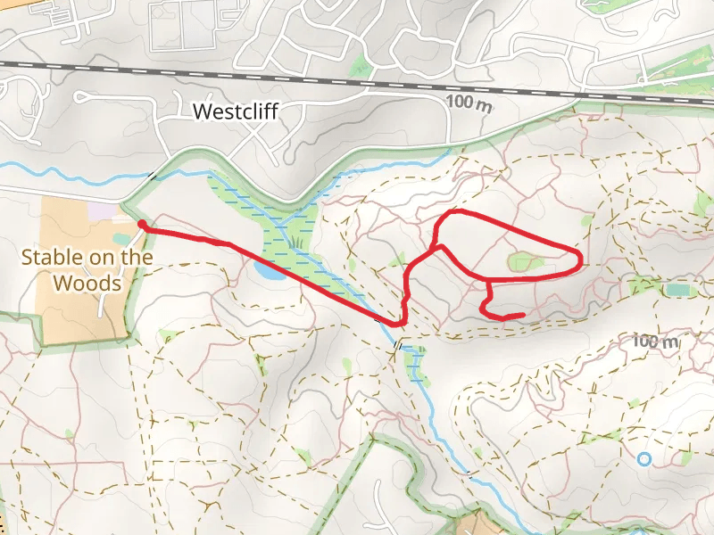 Ridge Mile Track Loop via Cathedral Aisle