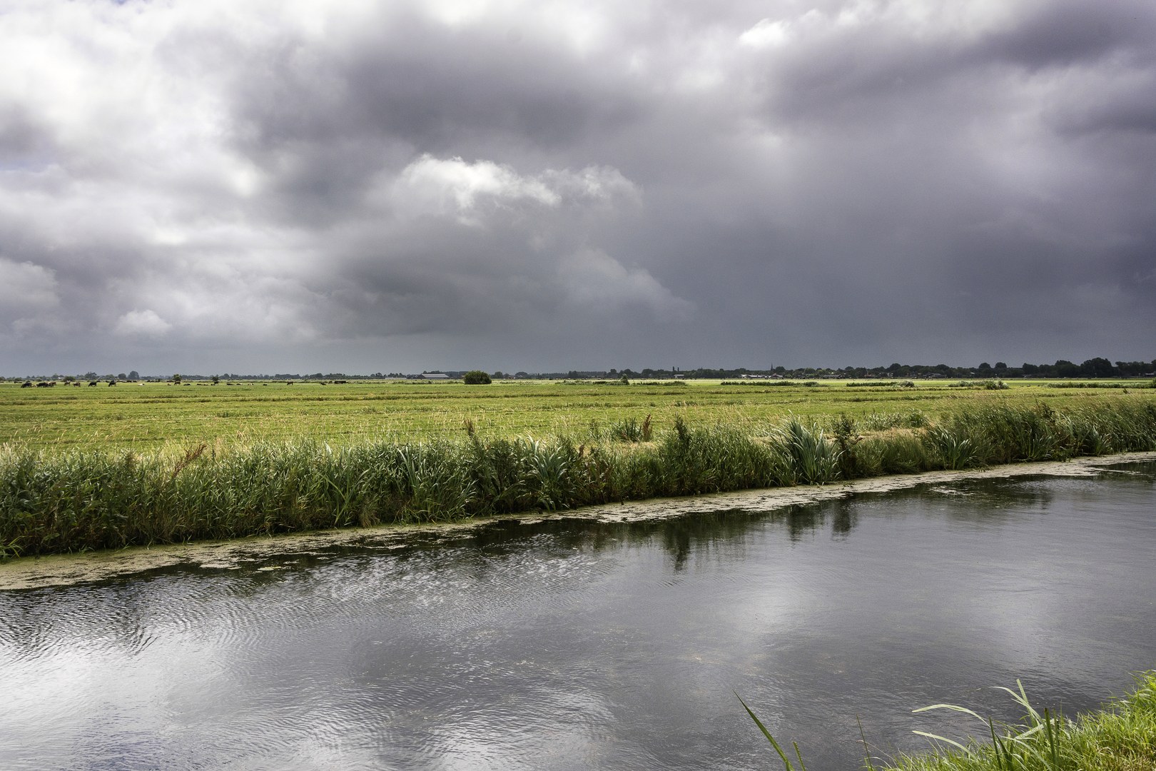 An image depicting the trail Kemphaanpad, Vier Bruggenpad and Michauzpad Loop and its surrounding area.