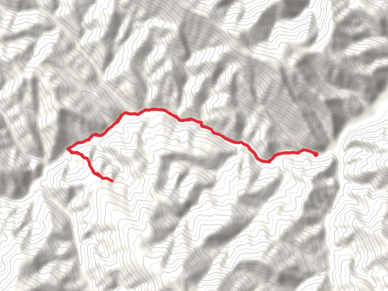 South Fork Bear Creek Trail
