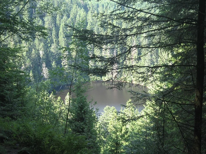 Glaswaldsee via Unteres Seebenesträßle
