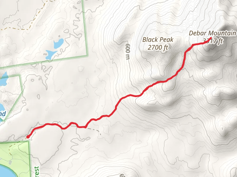Debar Mountain Trail