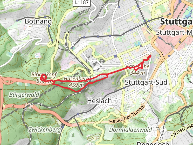 Birkenkopf via Binsenplattenweg and Blauer Weg