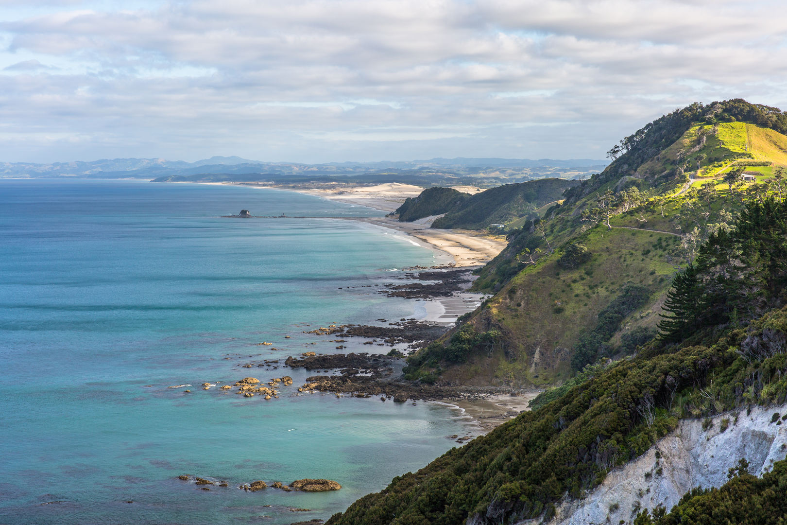 An image depicting the trail Mangawhai Cliffs Walkway and its surrounding area.