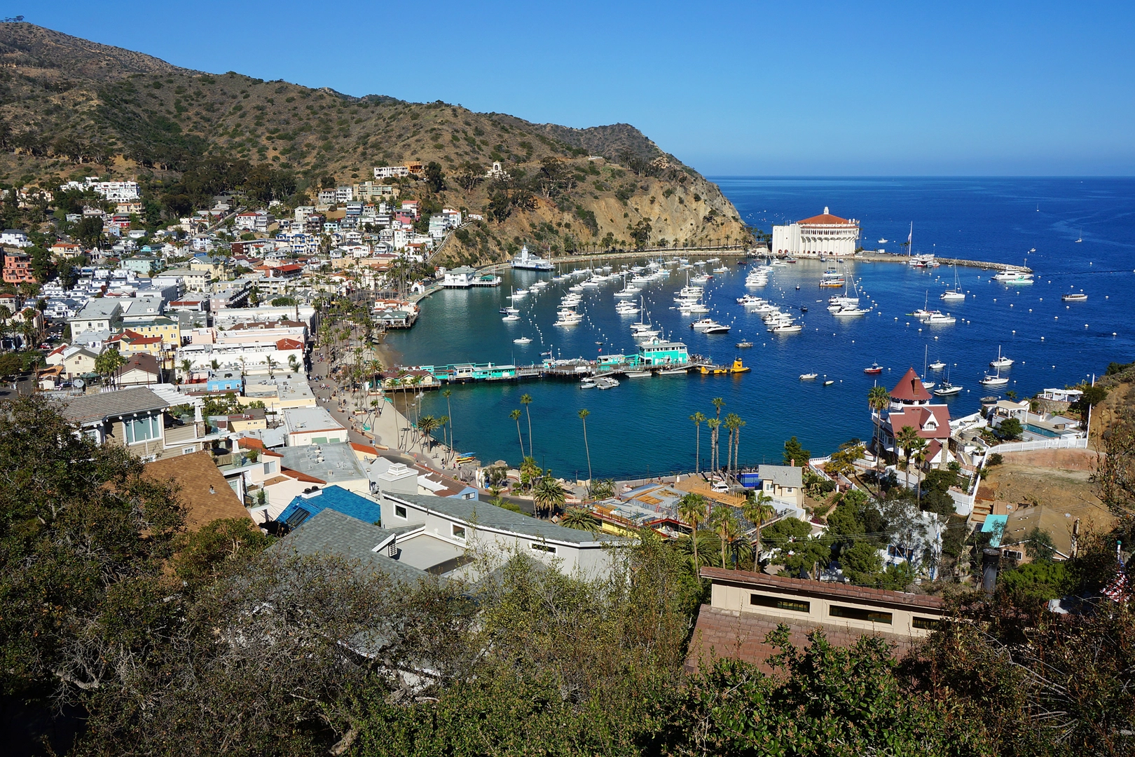 An image depicting the trail Two Harbors to Parsons Landing via Trans Catalina Trail and its surrounding area.
