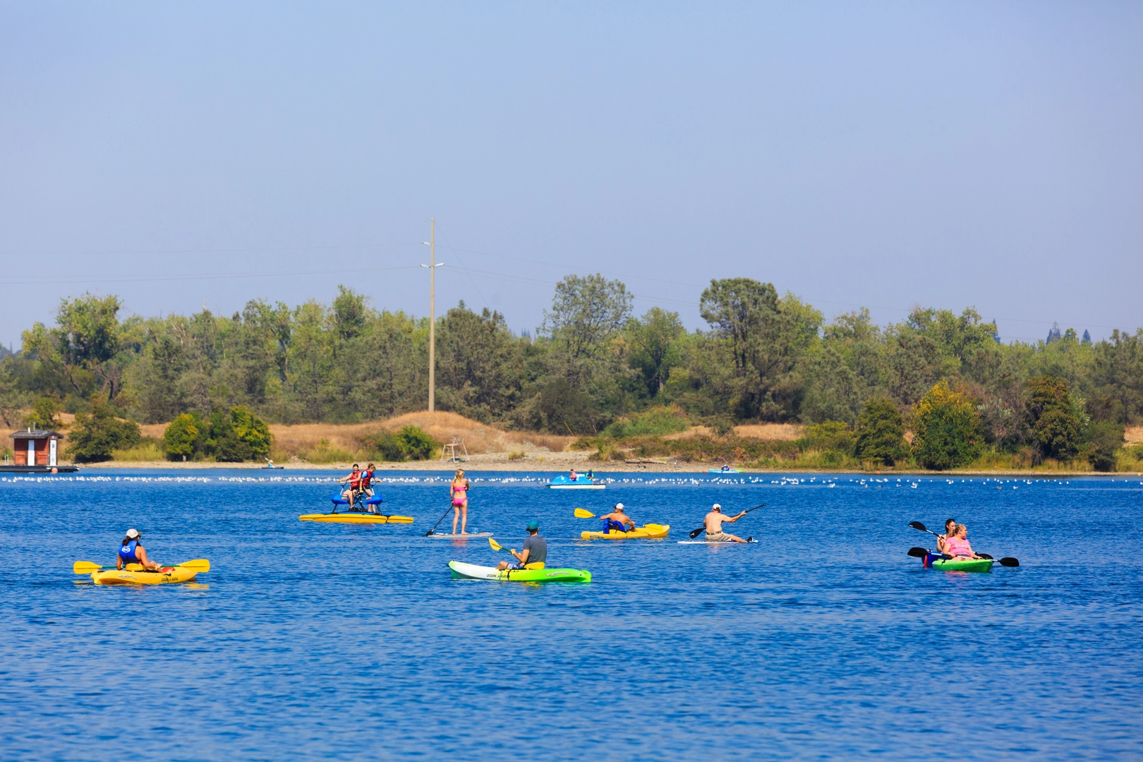 An image depicting the trail American River Loop from Greenback Lane and its surrounding area.