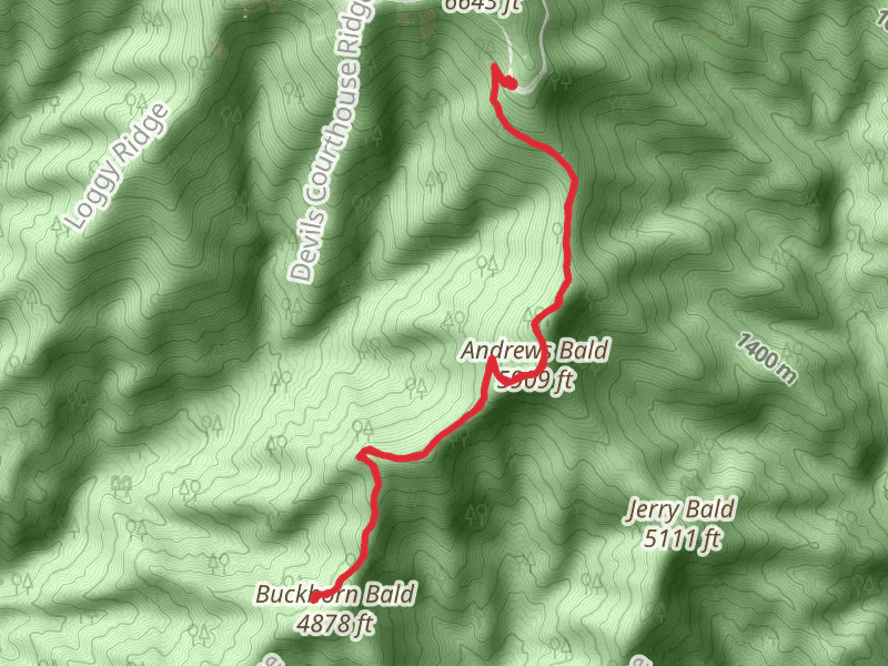 Andrews Bald and Buckhorn Bald via Forney Ridge Trail