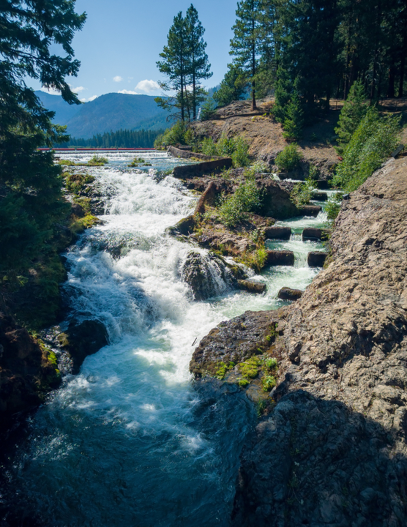An image depicting the trail Shellrock Lake Trail and its surrounding area.