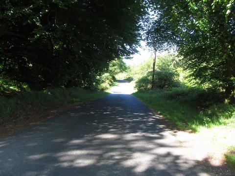 Mountain Lodge Trail - Darkley Forest