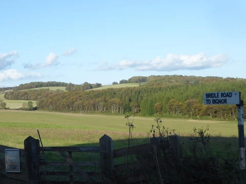 Slindon Estate Walk