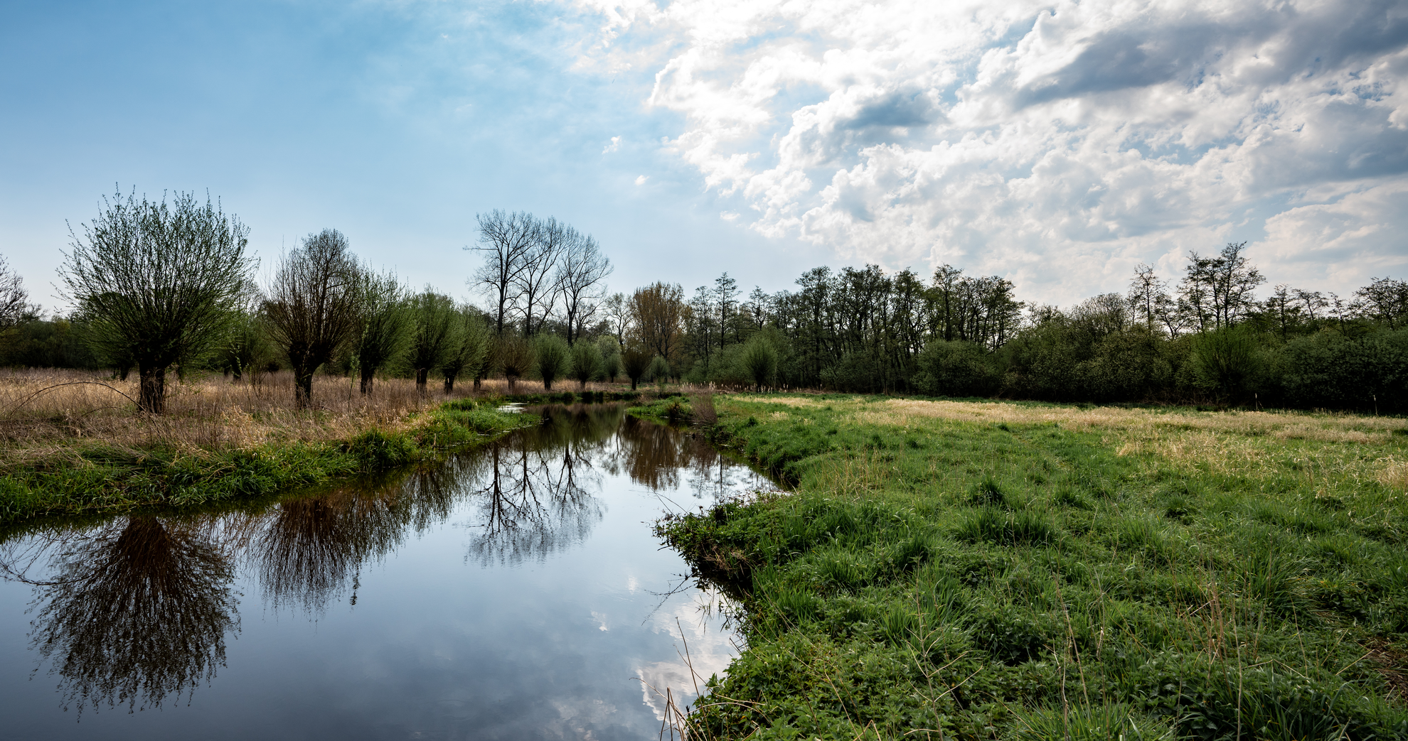 An image depicting the trail Kanaaldijk Zuid, Lange Dreven and Welschappad Loop and its surrounding area.