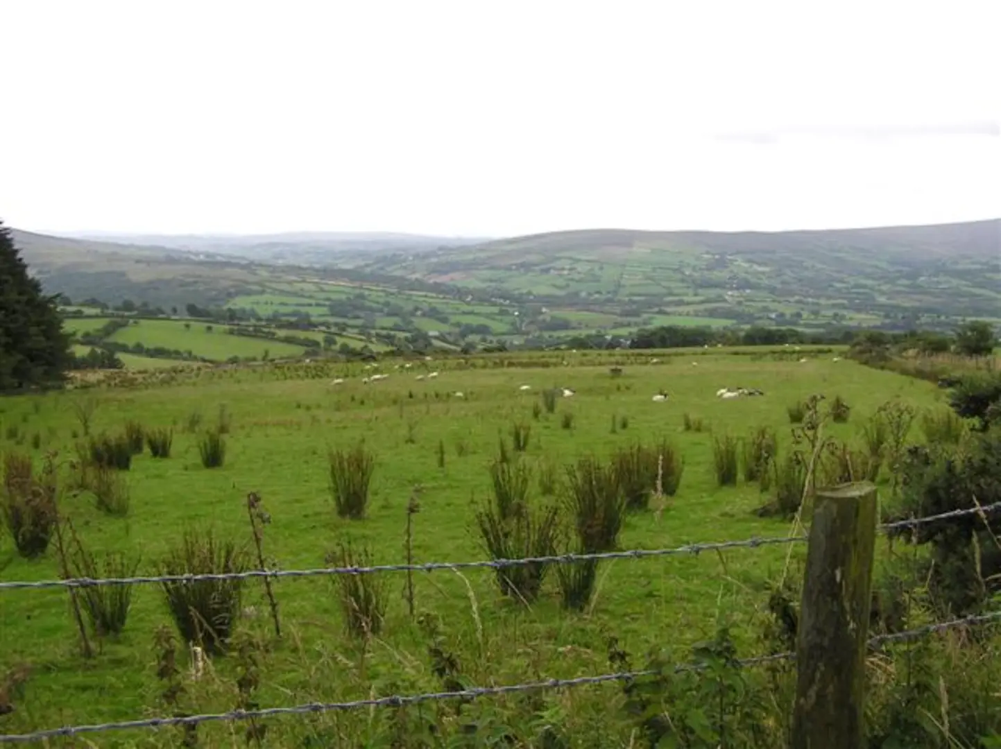 An image depicting the trail Craignamaddy Circuit and its surrounding area.