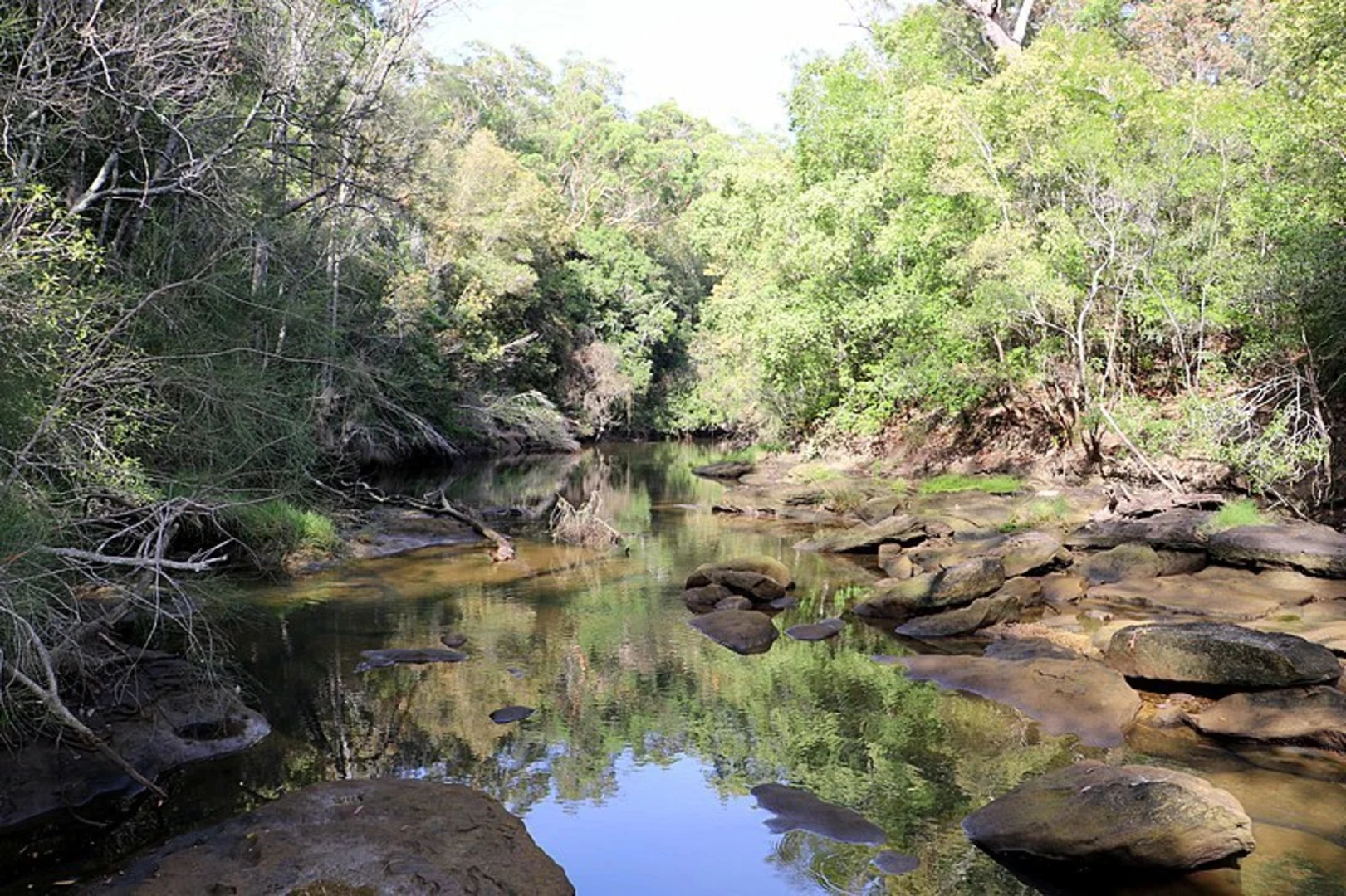 An image depicting the trail Stepping Stone Crossing to Cascades Trail and its surrounding area.