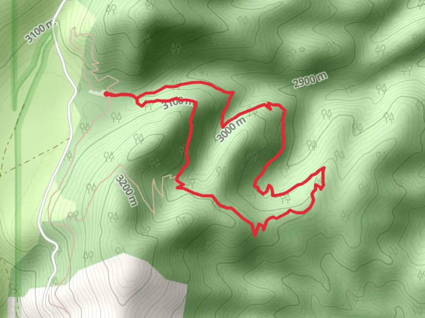 An image depicting the trail White Mountain Road Forest Route Loop and its surrounding area.
