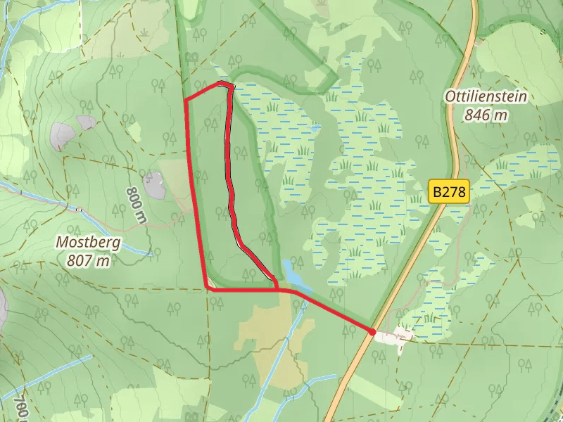 Moorsee and Rotes Moor Loop