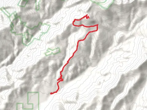 Smith Mountain via Little Bear Creek Trail