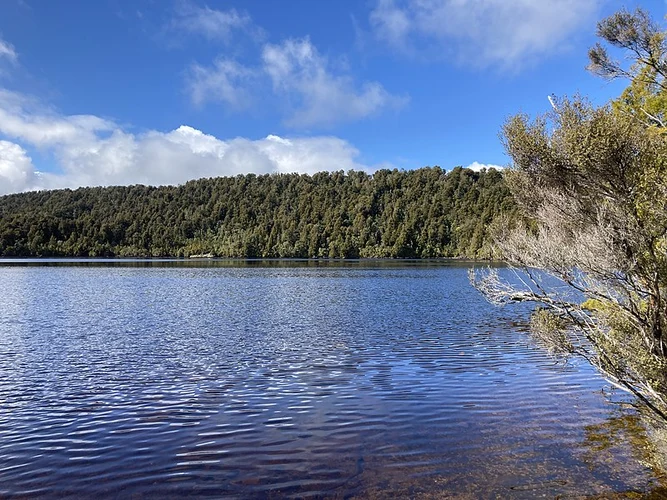 Lake Gault Track
