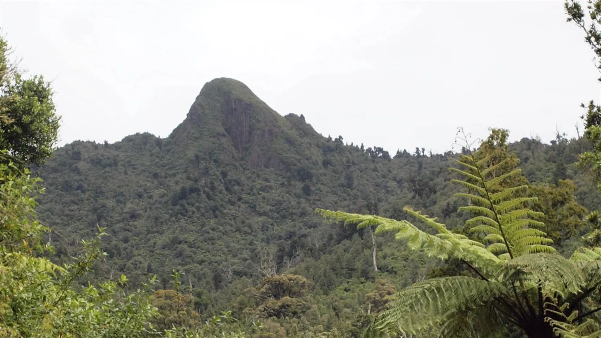 An image depicting the trail Mt Titiraupenga Track and its surrounding area.