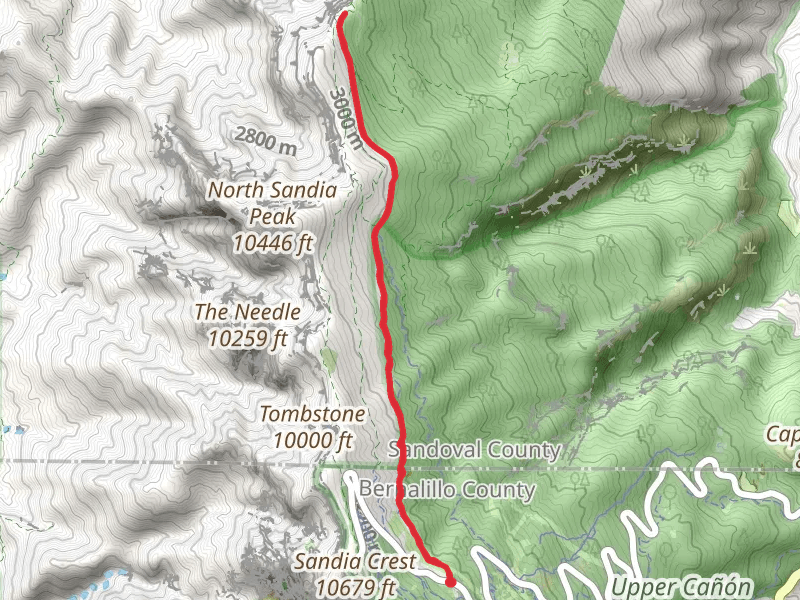 Ellis Trail Out and Back