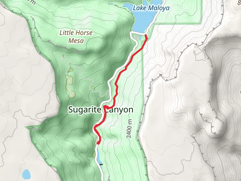 Lake Maloya via Chicorica Trail - Lake Alice Campground