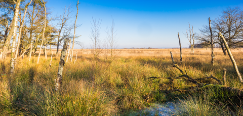 Langeloer, Achter Het Hout and Schillen Veen Loop
