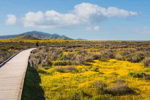 Carrizo Mountain via Painted Gorge Road