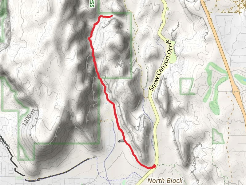 Padre Canyon Trail Out and Back
