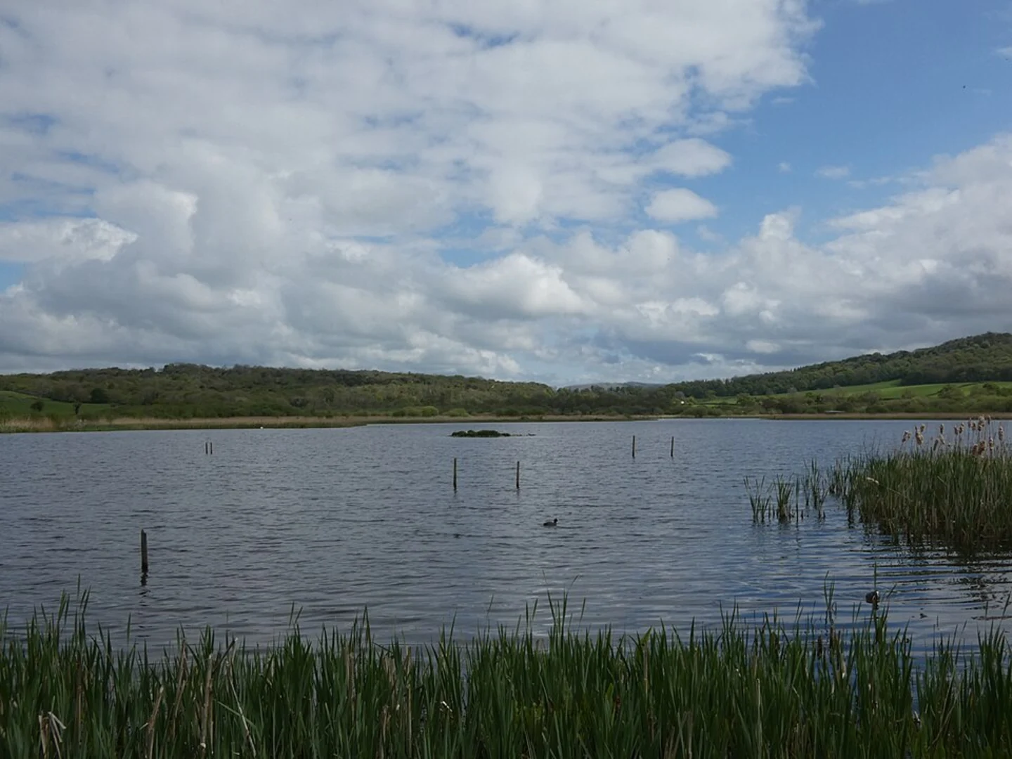 An image depicting the trail Silverdale and Yealand Storrs Loop and its surrounding area.