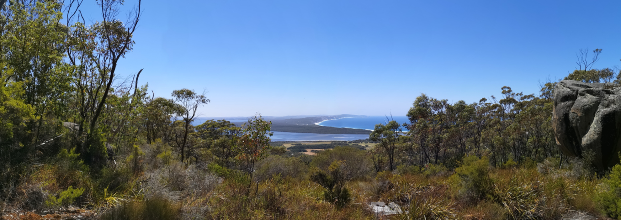 An image depicting the trail Sheila Hill Trail - Mt Hallowell and its surrounding area.