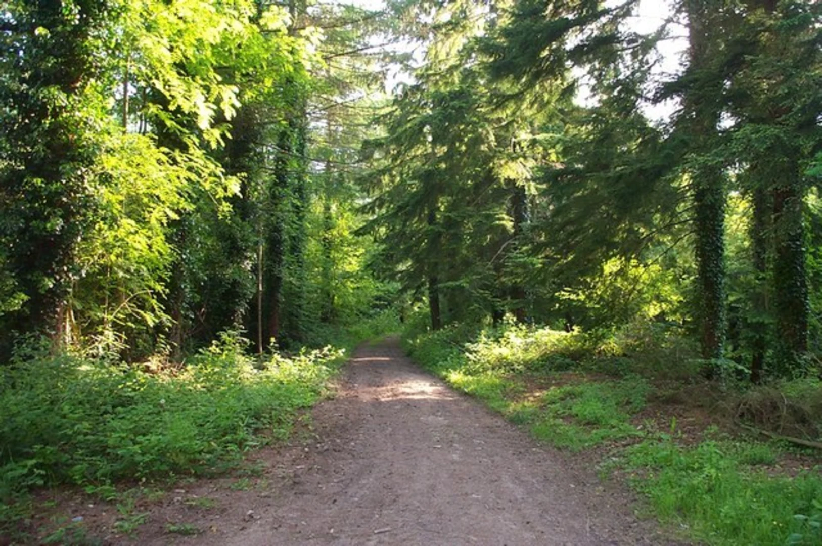 An image depicting the trail Roadwater and the Brendon Hills Loop and its surrounding area.